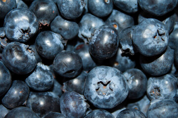 photo for background, dark large berries of ripe fresh blueberry close-up
