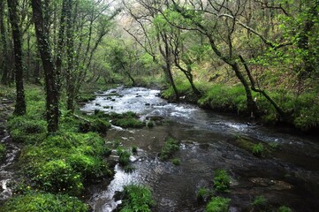 Río en la comarca de Betanzos, Galicia