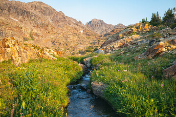 Rocky Mountain Landscape in Colorado