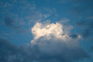 Naklejka na ściany i meble a light cloud in the sky, illuminated by the rays of the sunset, resembles an animal in shape