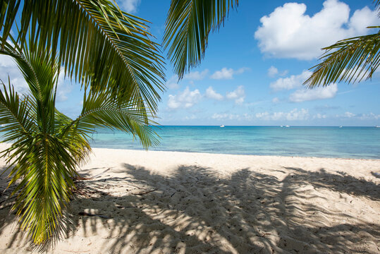 Deserted tropical beach island of Cozumel