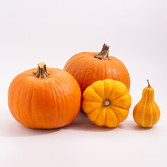 various pumpkins on white background