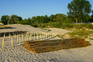 construction of a wooden branch barrier to prevent the movement of sand dunes