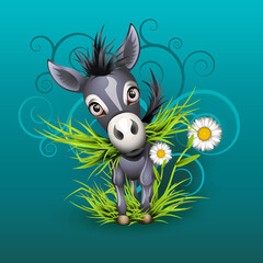 Little donkey in grass over emerald