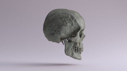 Old Bronze Human Female Skull with Jaw Medical Anatomical Oxidised Patina Right Side 3d illustration render