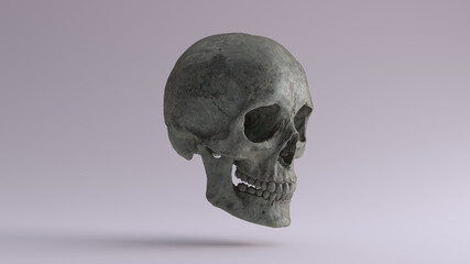 Obraz premium Old Bronze Human Female Skull with Jaw Medical Anatomical Oxidised Patina Quarter Right Side 3d illustration render