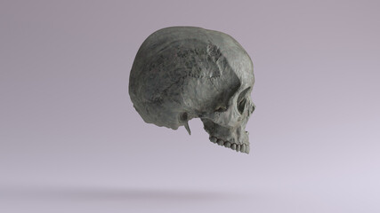 Old Bronze Human Female Skull Medical Anatomical Oxidised Patina Right Side 3d illustration render