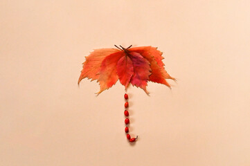 Flatlay of  umbrella made of autumn leaves and berries.