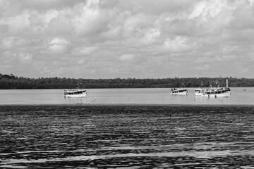 Bateaux sur la rivière Cayenne à marée basse - Guyane française