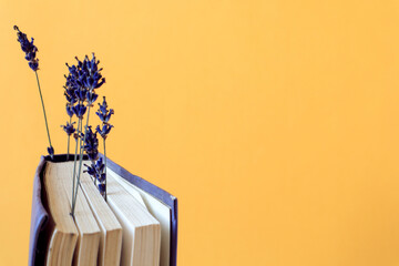 The concept of pleasant memories while reading books. Dried lavender branches among the pages of an old book on a yellow background, top view, a place for the text