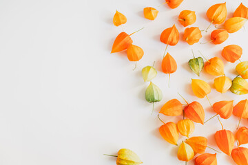 Autumn composition. Colorful flowers of physalis on pastel gray background. Autumn, fall concept. Flat lay, top view, copy space