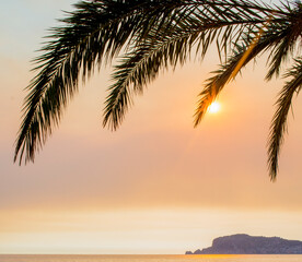 summer mood in the panorama of Alanya with the sea and the setting sun shining through the palm leaves
