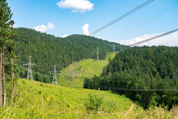 Electric transmission lines in the middle of a dense forest.