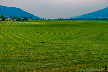 Country side of Canada, road trip