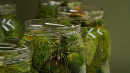 Close-up glass jars filled with fresh cucumbers,dill,garlic and black pepper and poured with brine green background.Canning,pickling fermenting vegetables.Homemade pickling cucumber recipes.Copy space