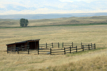 Fenced Stable in Field