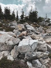 Whistler on Whistler Mountain, BC