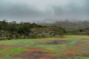 Paisaje de un tapete de agua en el páramo de Sumapaz en Bogotá Colombia