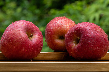 Video of showering an apple.
4K 120fps edited to 30fps