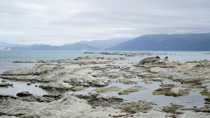 Coastal sea landscapes near Kaikoura on the South Island of New Zealand.