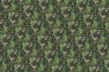abstract organic texture pattern backdrop