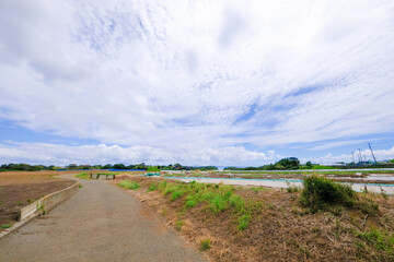 神奈川県三浦半島の風景