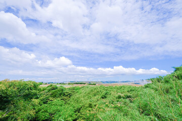 神奈川県三浦半島の風景