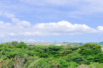 神奈川県三浦半島の風景