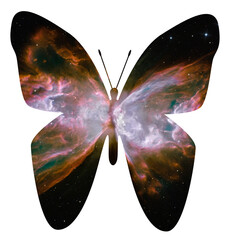 Space Butterfly NASA Hubble Images Animal