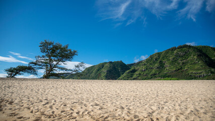 Hawaii beach with hills, tree, and blue sky