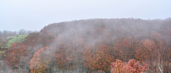 霧雨に煙る地獄沼付近の紅葉情景＠酸ヶ湯、青森