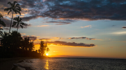 Sunset in Hawaii with palm trees and Pacific Ocean