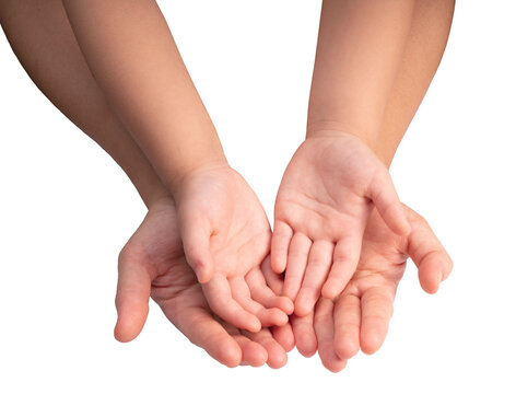 133 846 Best Parent And Child Holding Hand Images Stock Photos Vectors Adobe Stock 133 846 Best Parent And Child Holding Hand Images Stock Photos Vectors Adobe Stock