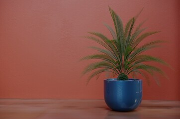 3D rendering, Green trees in a blue color flower pot. Potted house plants on Orange background. Minimal Green 