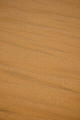 Fototapeta na wymiar texture of golden sands