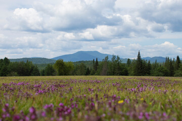 Santanoni Mountain from Newcomb Outlook