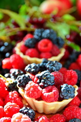 Summer berries dessert still-life. Mix ripe fresh berries bramble, blackberry, raspberries in basket, cherries close up on blurred background of bird cherry and apple. Selective focus, vertical frame