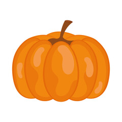 pumpkin vegetable icon