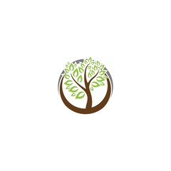 Obraz premium Tree abstract logo concept plant nature health tree