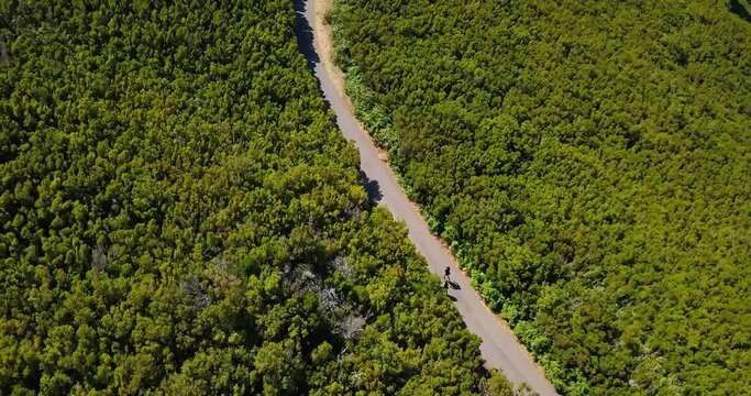 People Walking On Hiking Trail Of Levada do Alecrim With Lush Green Forest In Rabacal, Portugal. aerial