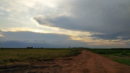 Fototapeta premium Rio vacation Sunset and Nature