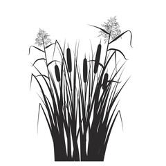 Silhouette of reed and cane in green grass. Swamp and river plants. Vector flat illustration