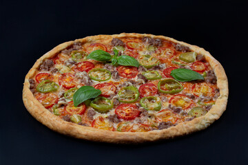 Italian pizza with melted mozzarella cheese and tomatoes, pepper garnished with fresh leaves basil on a thick crust