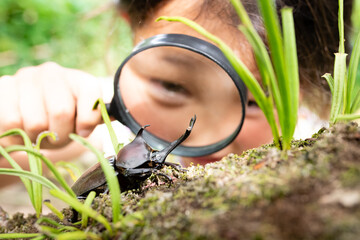 カブト虫を虫眼鏡で見る少女