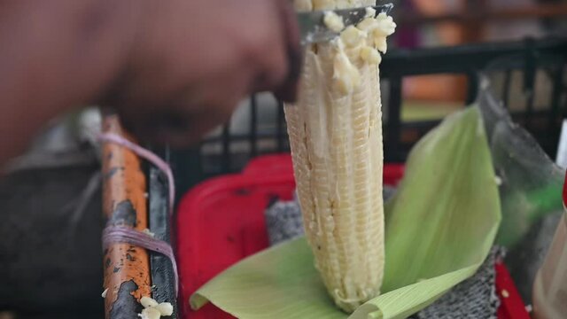 Cutting a corn in a traditional way