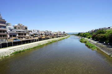 Fototapeta premium 京都鴨川 京都旅行