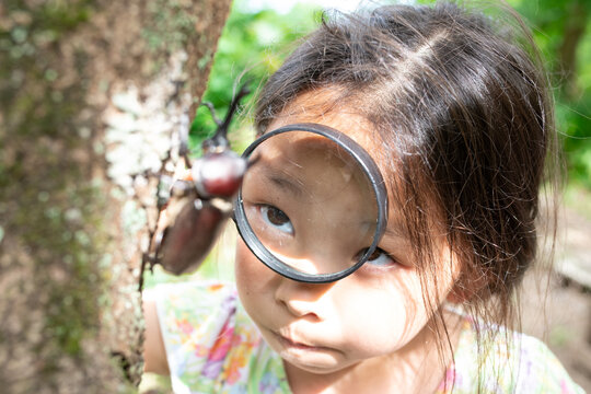カブト虫を虫眼鏡で見る少女