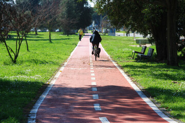 Cycling on the red cycle path, in the city park.