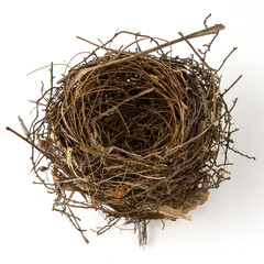 Bird nest isolated on white background.