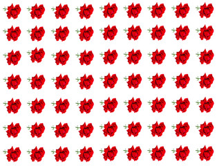 Red rose flower on a white background with place for text. Red Rose. Bouquet of flowers. Template for text. Bridal bouquet. Valentine's Day. Greeting card. Happy Birthday. Background image.